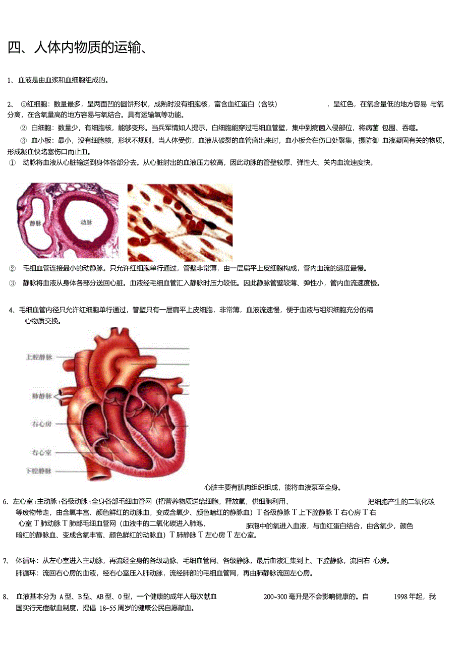 生物七下提纲_第4页