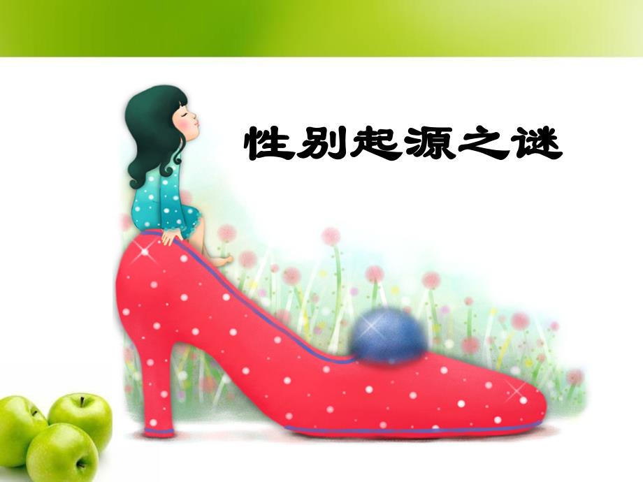 初中生物性别决定课件_第1页