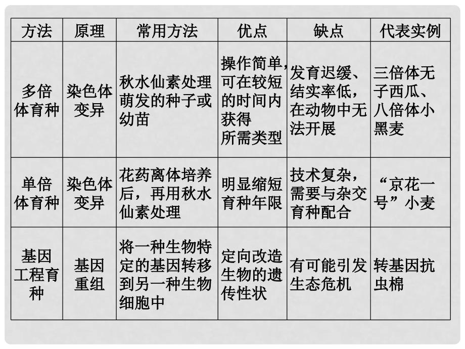 高中生物 章末整合六配套课件 新人教版必修2_第4页