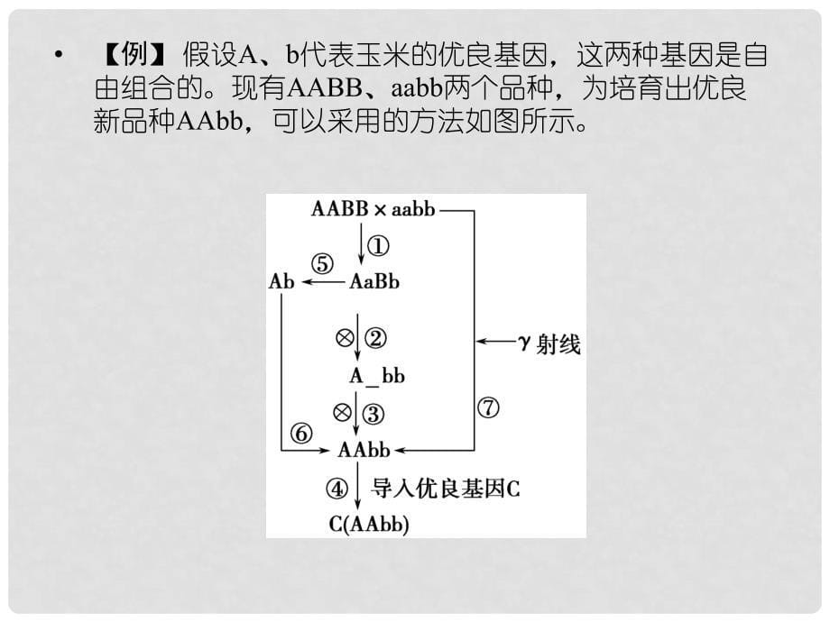 高中生物 章末整合六配套课件 新人教版必修2_第5页