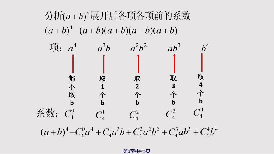 131二项式定理实用教案_第5页