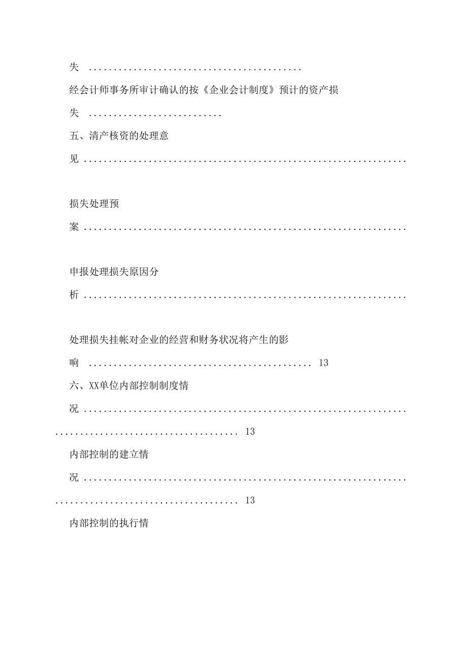 清产核资审计报告模板_第5页