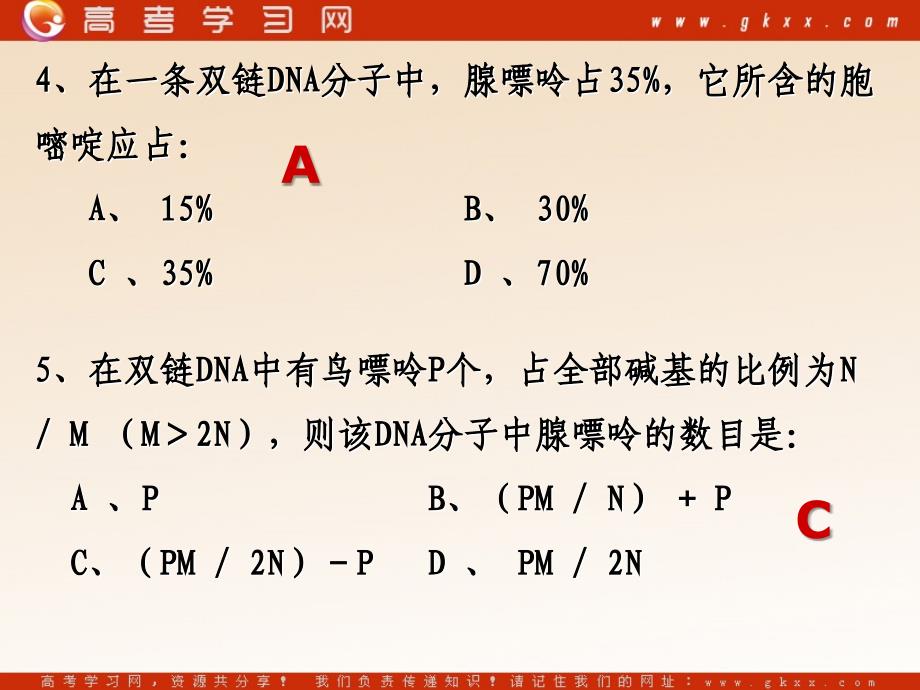 高中生物《DNA的复制》课件9（31张PPT）（人教版必修2）_第3页