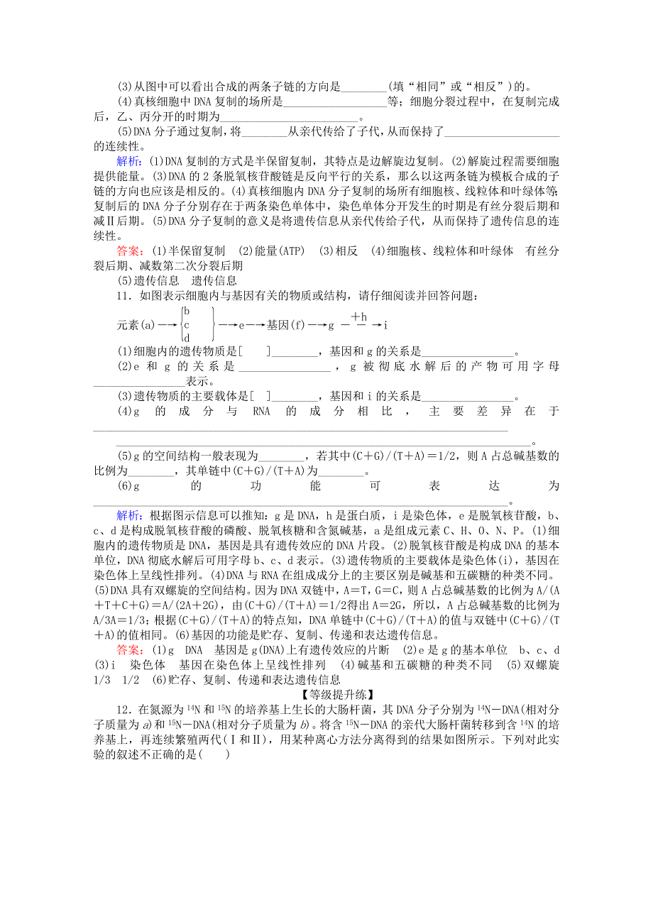 2020版高中生物课后分层检测案11DNA的复制基因是有遗传效应的DNA片段含解析新人教版必修_第3页