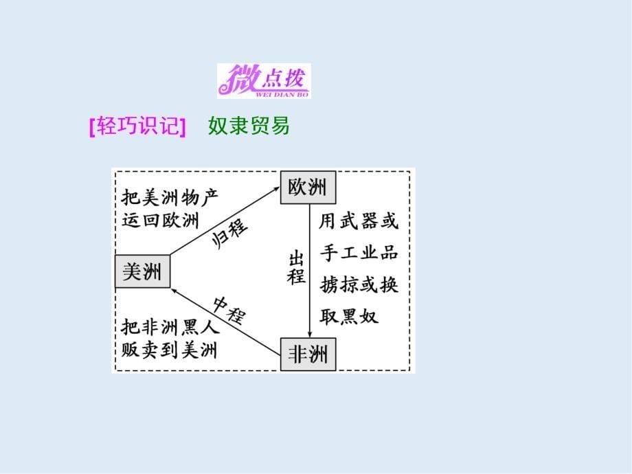 高中历史岳麓版必修2课件：第二单元 第8课 欧洲的殖民扩张与掠夺_第5页