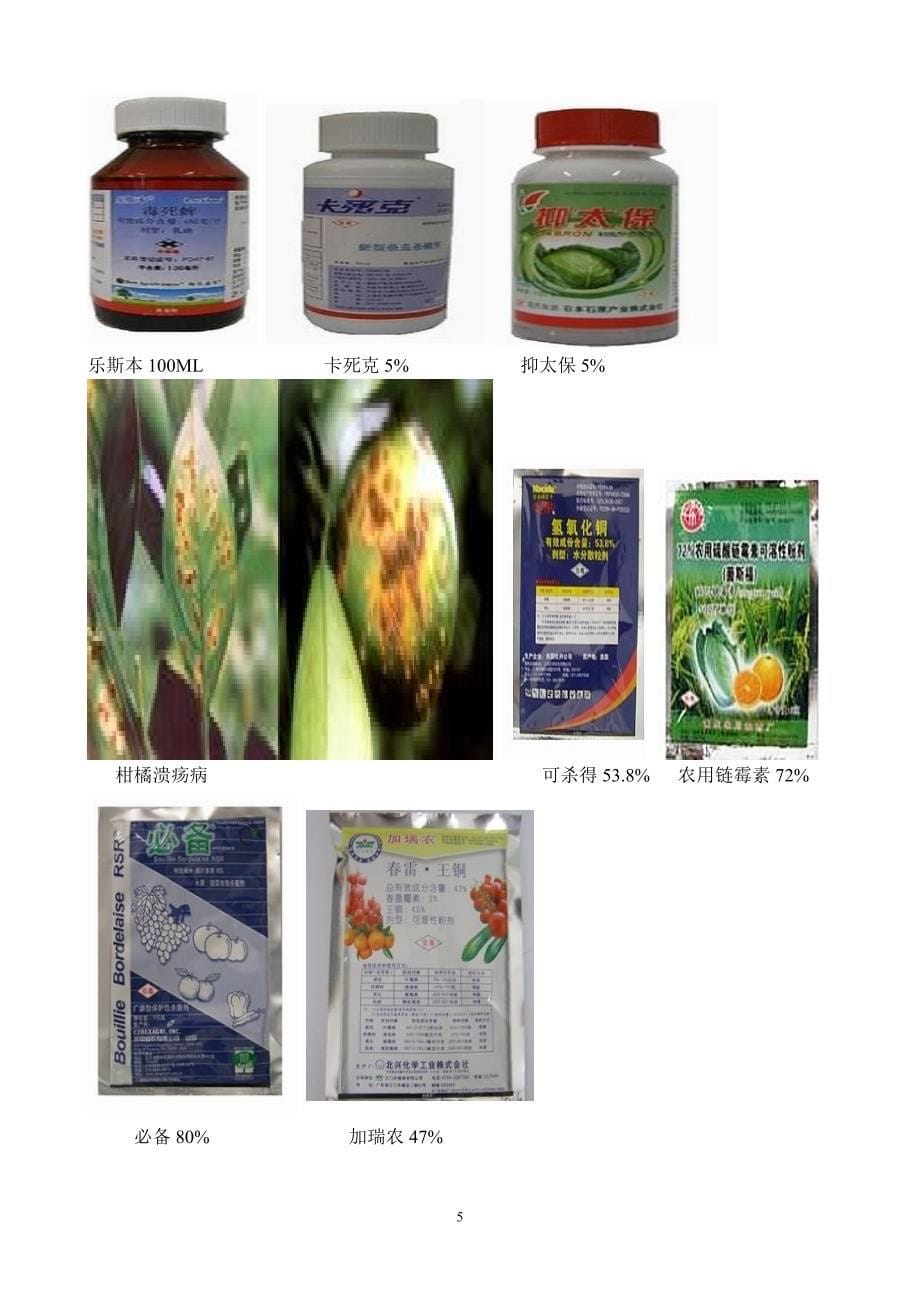 柑桔虫害与用药图.doc_第5页