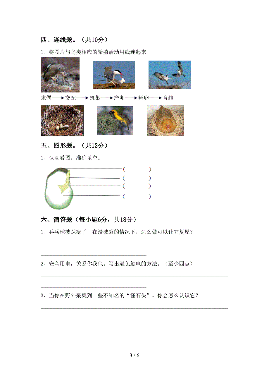 大象版四年级科学上册期中考试(真题).doc_第3页