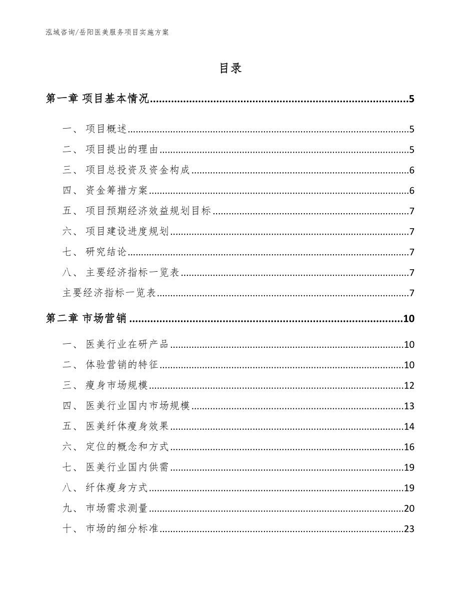 岳阳医美服务项目实施方案_第1页