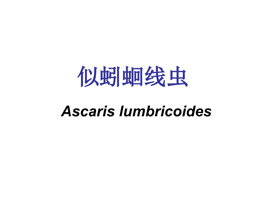 临床寄生虫学与检验：似蚓蛔线虫_第1页