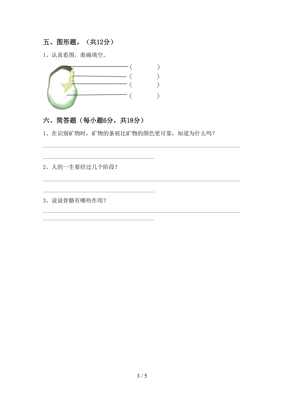 大象版四年级科学上册期中考试(汇编).doc_第3页