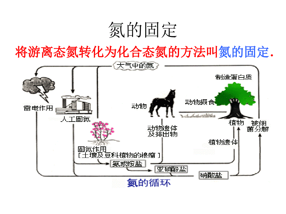 课题2　人工固氮技术──合成氨 (2)_第2页