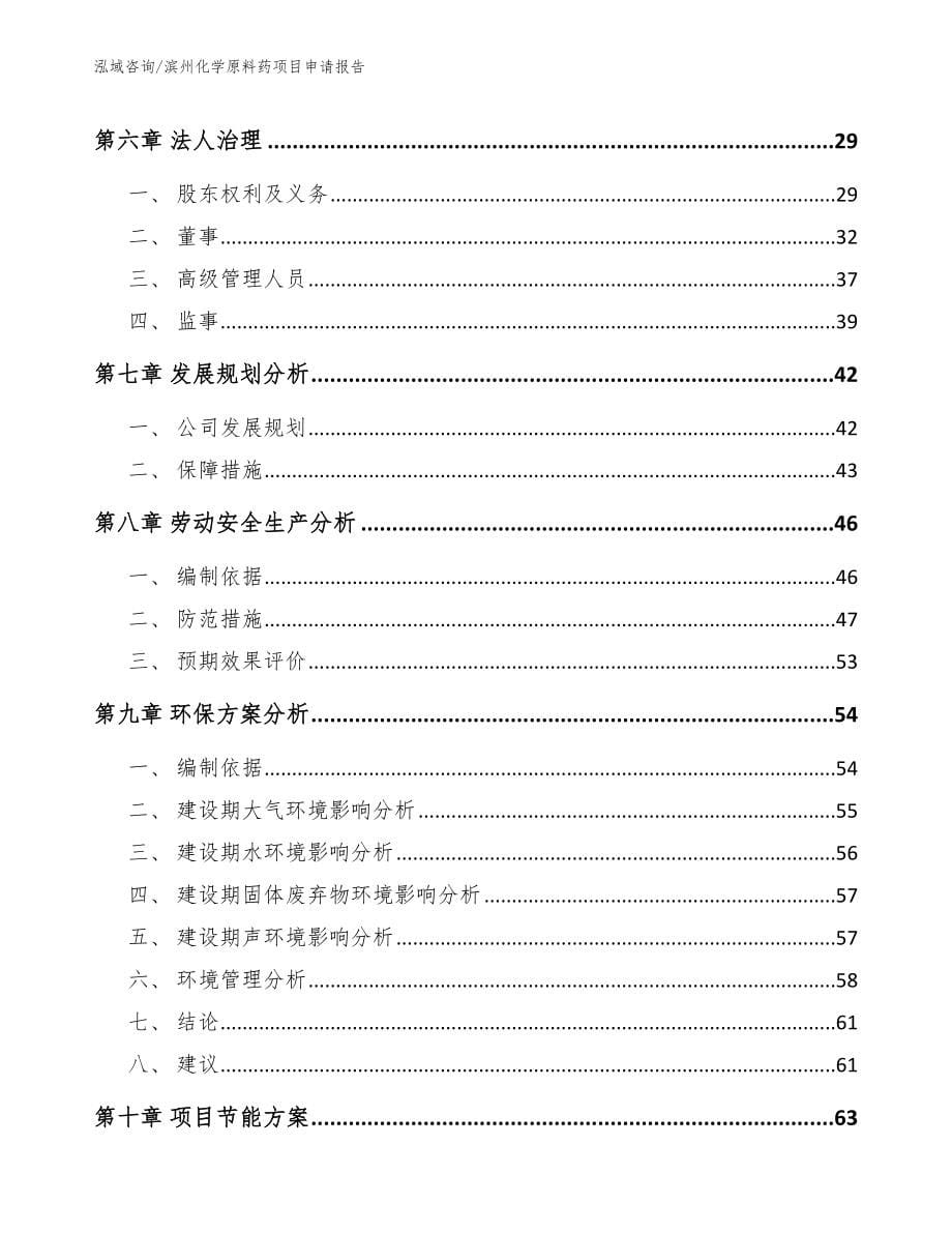 滨州化学原料药项目申请报告（模板参考）_第5页