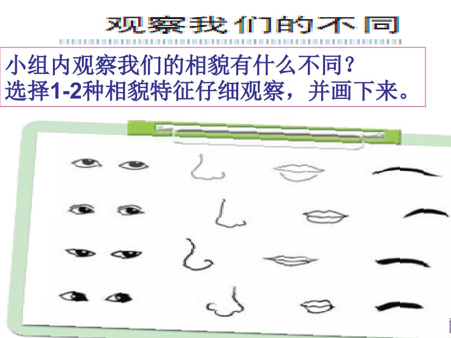 教科版科学六年级上册相貌各异的我们PPT_第2页