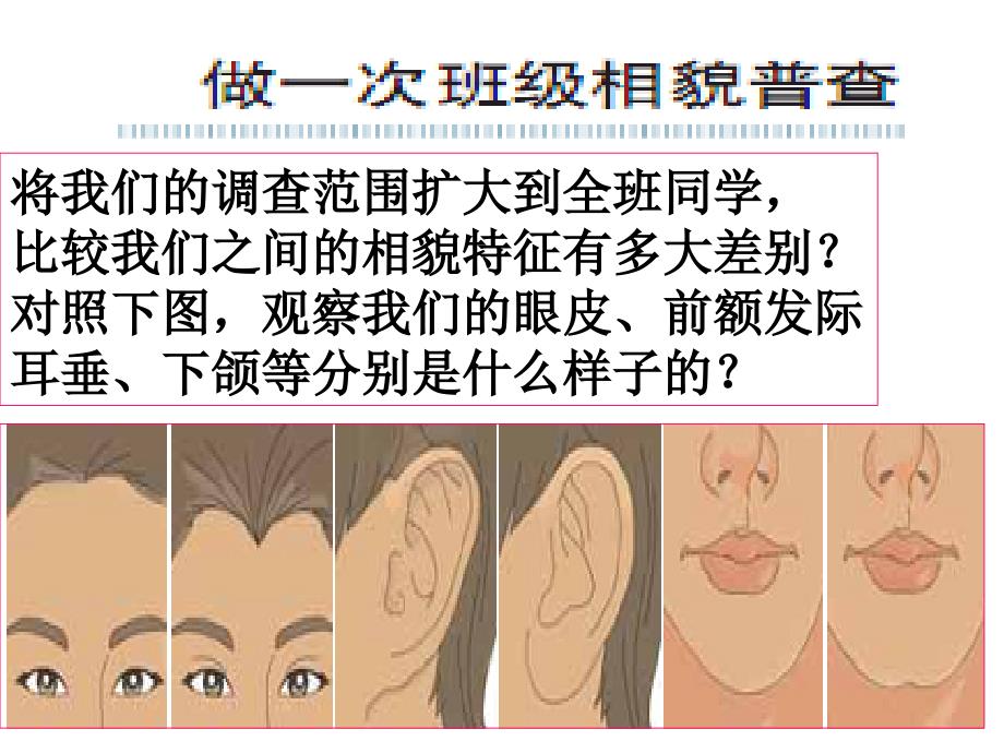 教科版科学六年级上册相貌各异的我们PPT_第3页