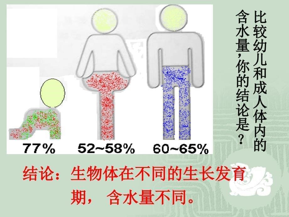 生物：25《细胞中的无机物》课件（新人教版必修1）_第5页