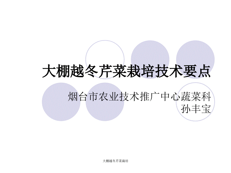 大棚越冬芹菜栽培课件_第1页
