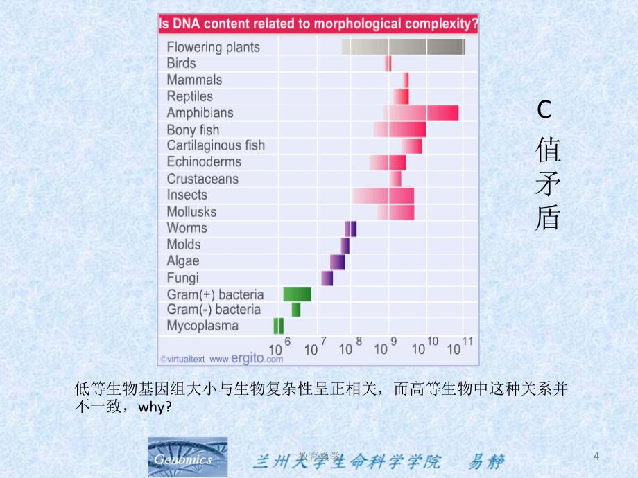 基因组学课件高教课堂_第4页