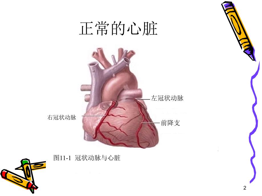 冠心病健康知识讲座_第2页