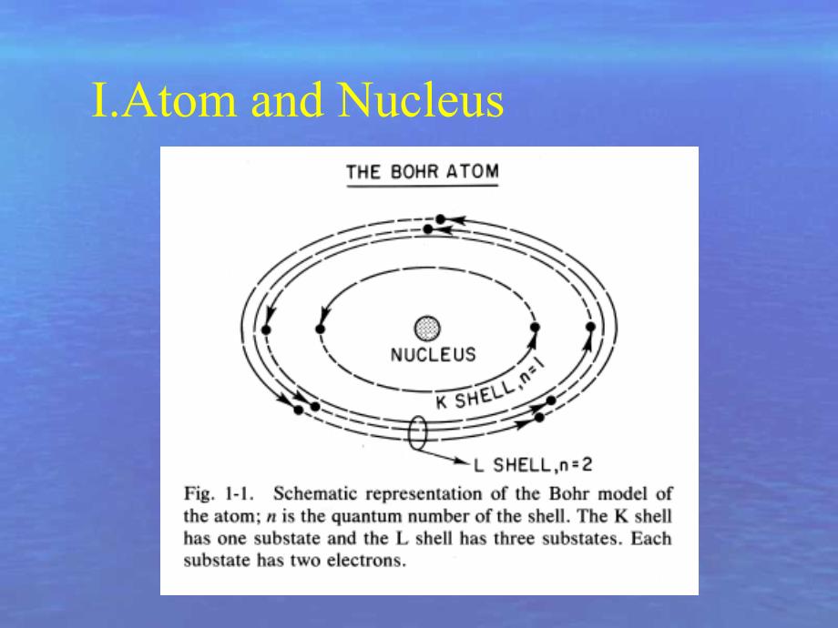 核物理基础和核医学仪器英文课件_第3页