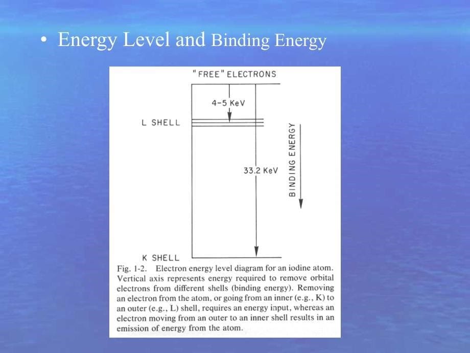 核物理基础和核医学仪器英文课件_第5页