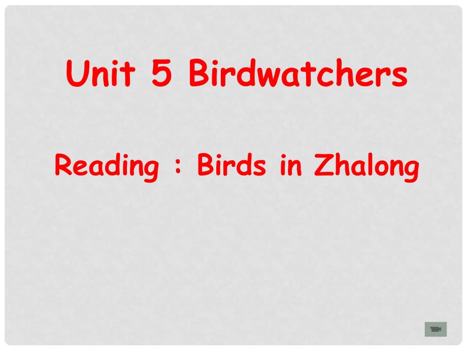 江苏省金湖县八年级英语上册 Birdwatchers课件 牛津版_第1页