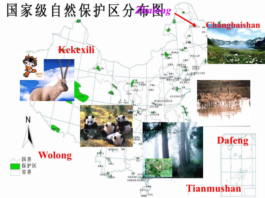 江苏省金湖县八年级英语上册 Birdwatchers课件 牛津版_第3页