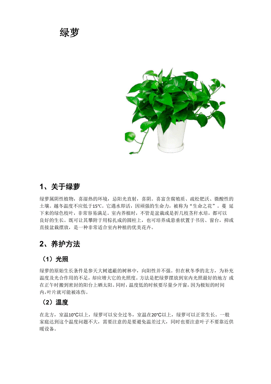 办公室绿植养护管理手册_第3页