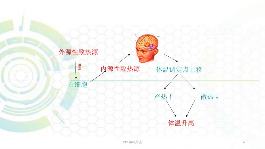 发热的常见原因ppt课件_第4页