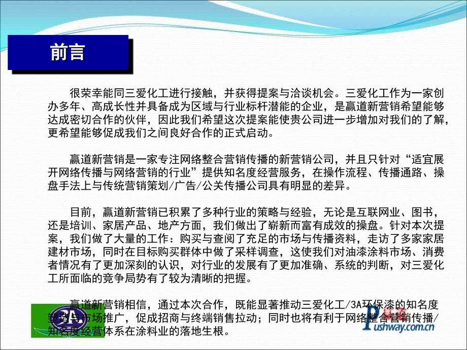 三爱化工3A环保漆网络整合营销传播项目提案书_第2页