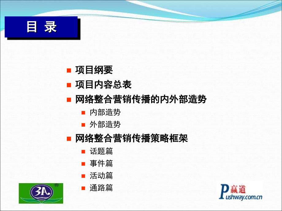 三爱化工3A环保漆网络整合营销传播项目提案书_第3页