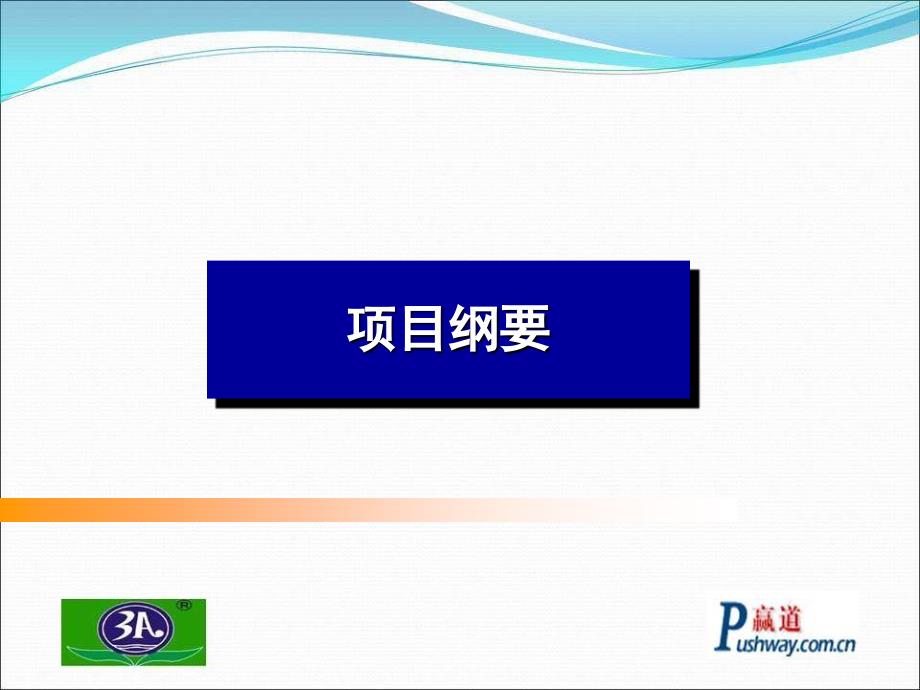 三爱化工3A环保漆网络整合营销传播项目提案书_第4页