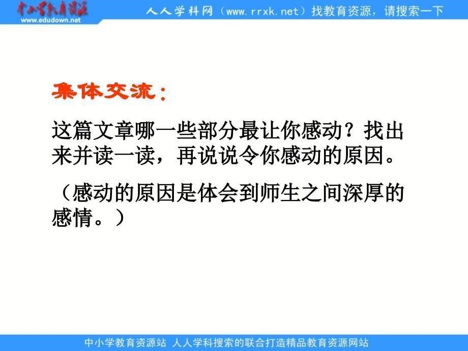 浙教版四年级下册天的雨点课件2_第5页