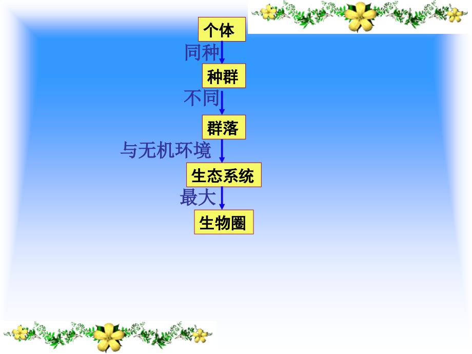 生态系统的结构_第2页