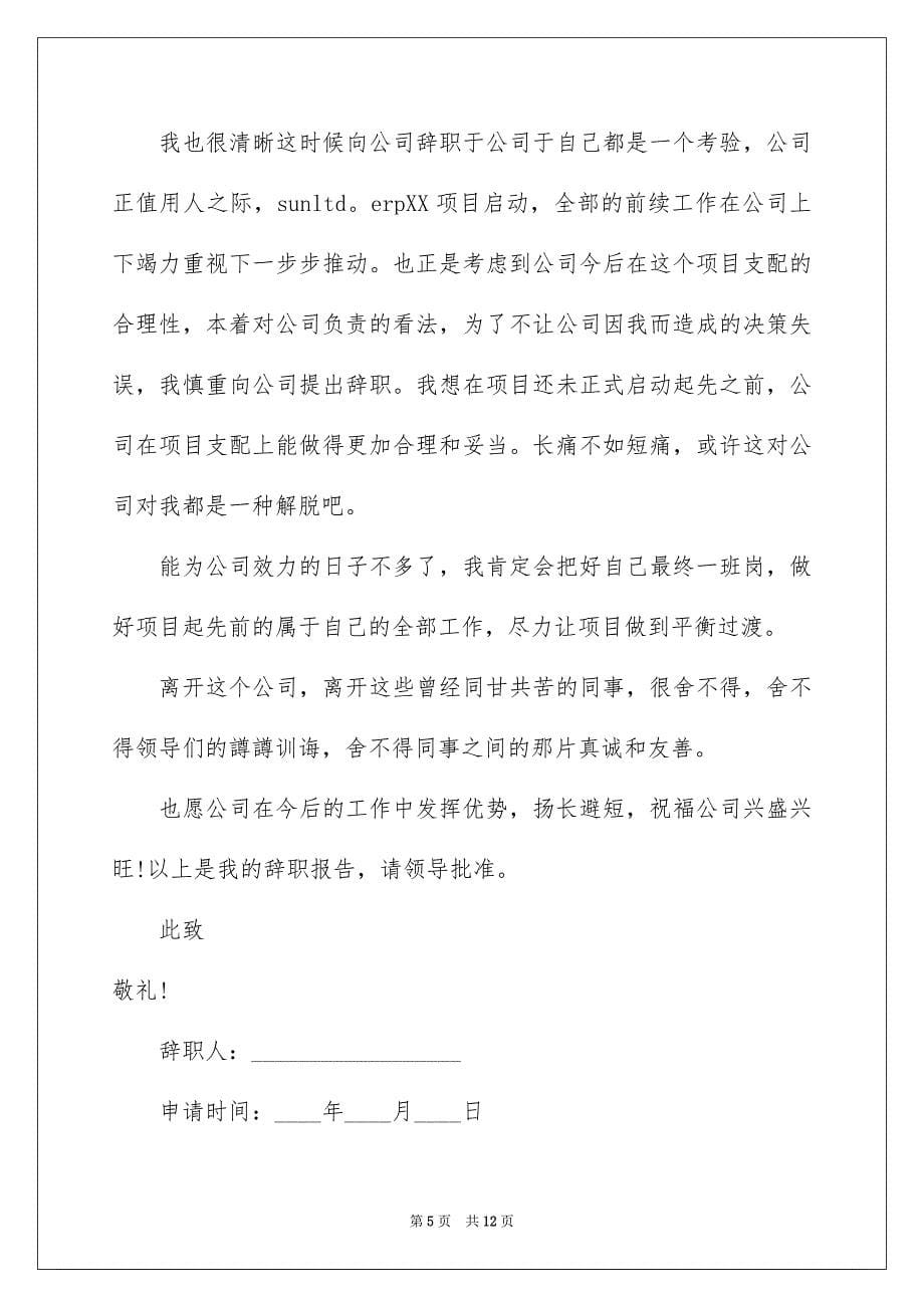 2023年简短辞职报告28范文.docx_第5页