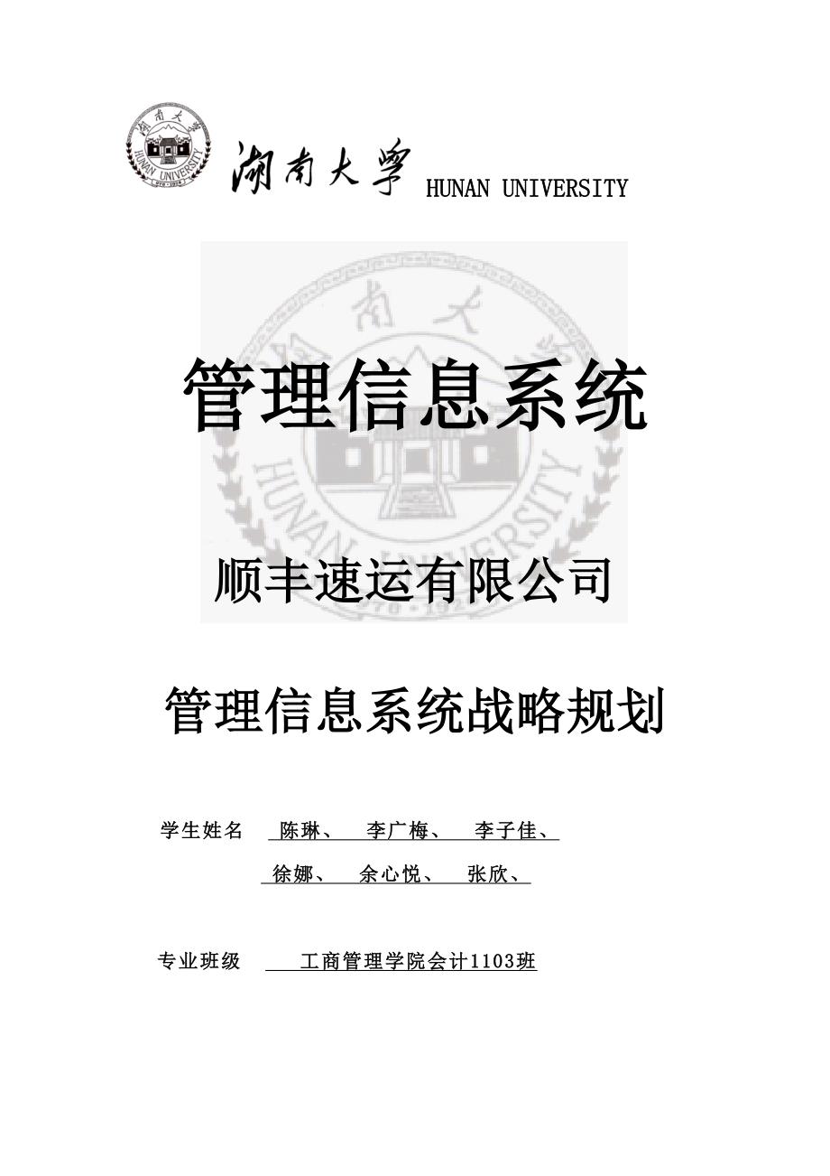 顺丰速运有限公司管理信息系统战略规划_第1页