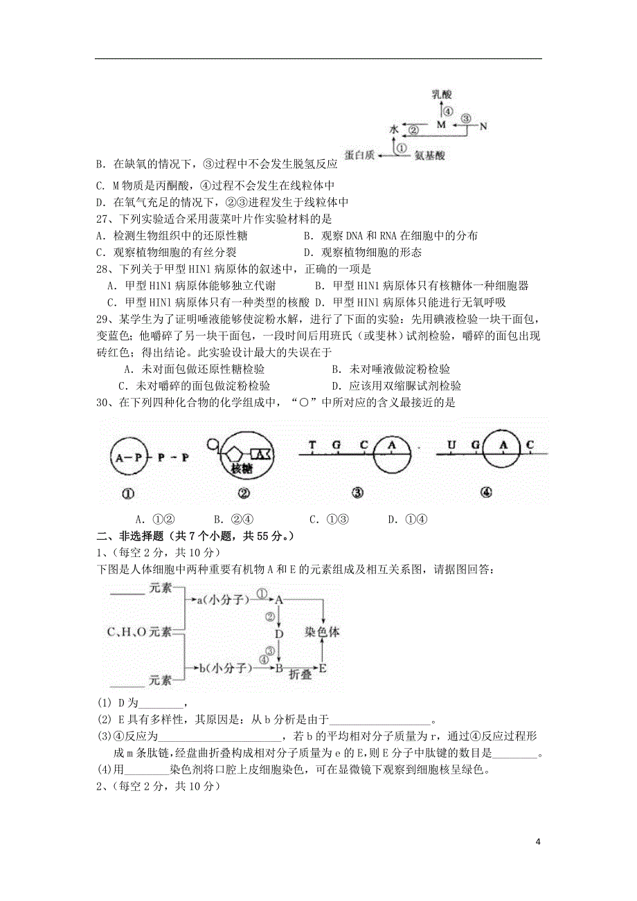 山东高三生物12月考试新人教版.doc_第4页