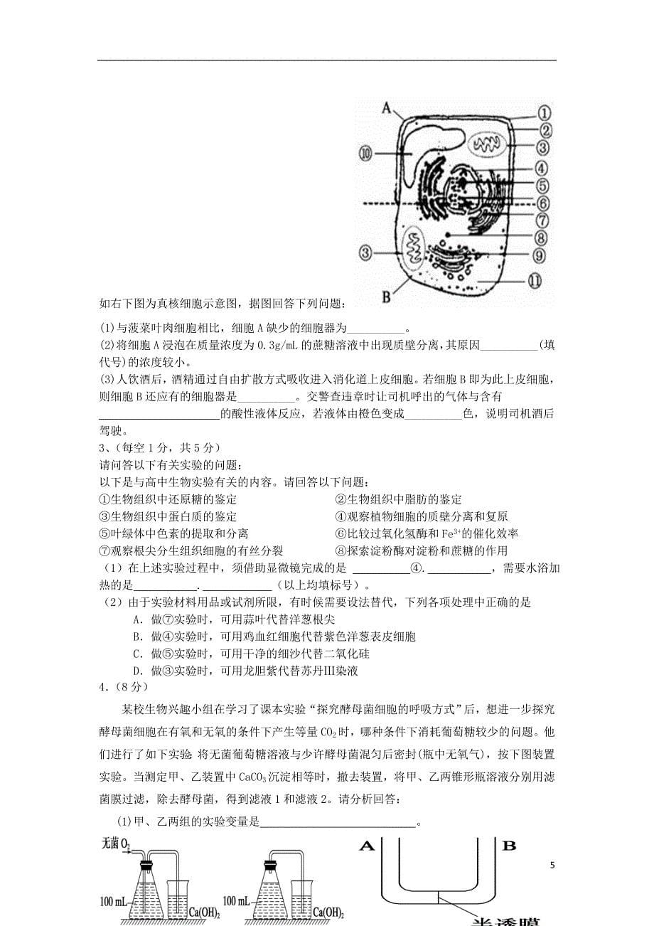 山东高三生物12月考试新人教版.doc_第5页