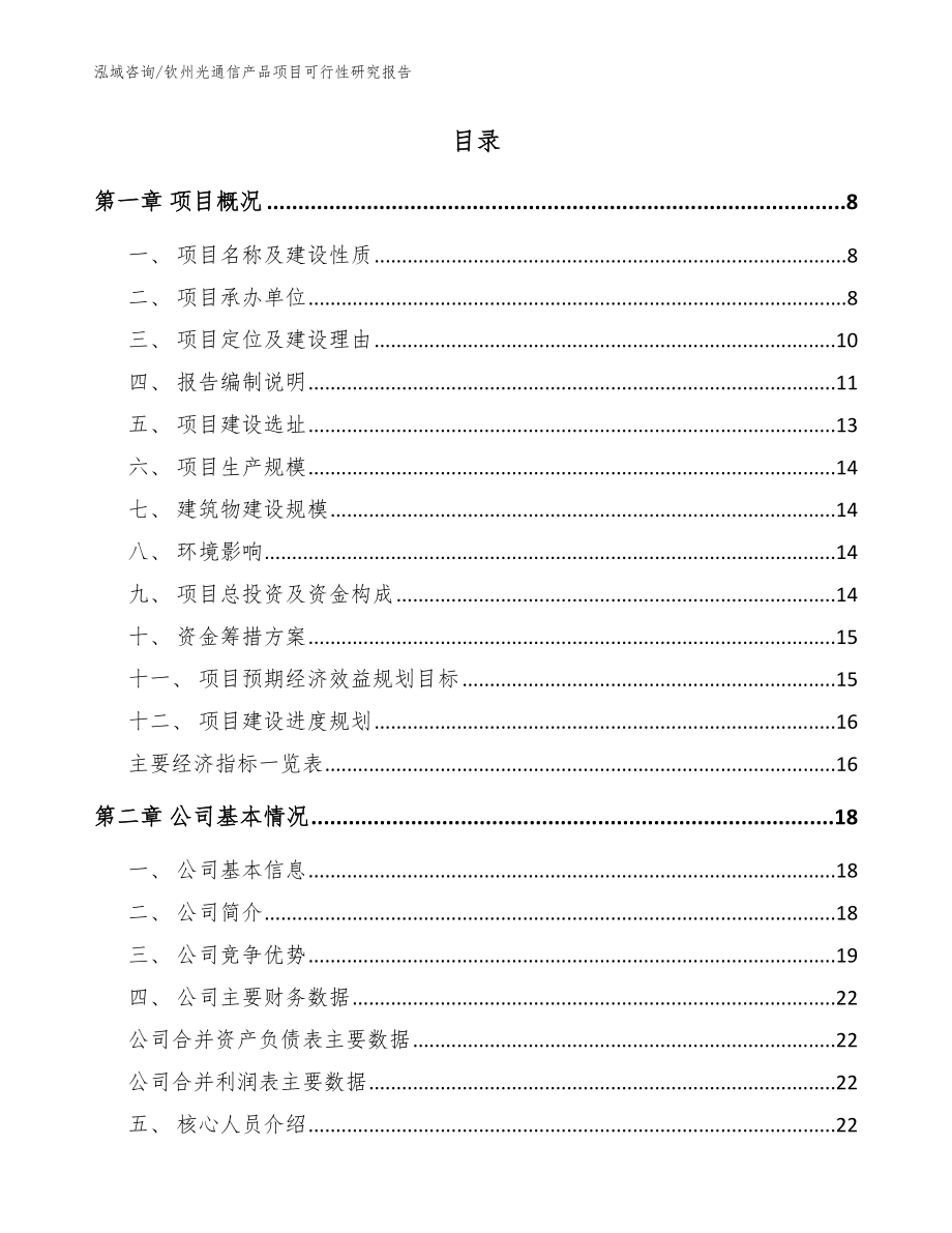 钦州光通信产品项目可行性研究报告（范文模板）_第2页