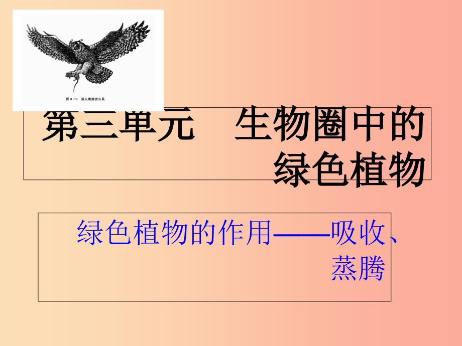 广东省河源市七年级生物上册 3.3绿色植物与生物圈的水循环课件 新人教版.ppt_第1页