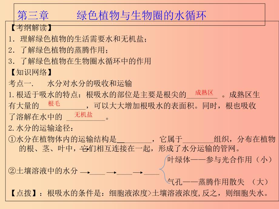 广东省河源市七年级生物上册 3.3绿色植物与生物圈的水循环课件 新人教版.ppt_第2页