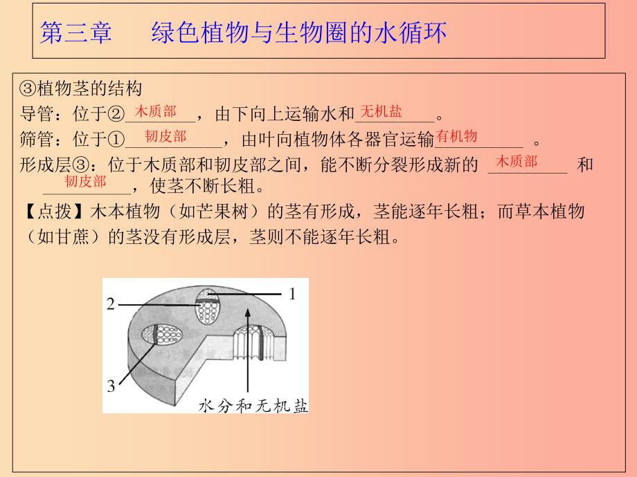 广东省河源市七年级生物上册 3.3绿色植物与生物圈的水循环课件 新人教版.ppt_第3页