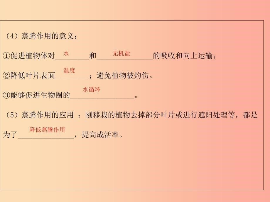 广东省河源市七年级生物上册 3.3绿色植物与生物圈的水循环课件 新人教版.ppt_第5页