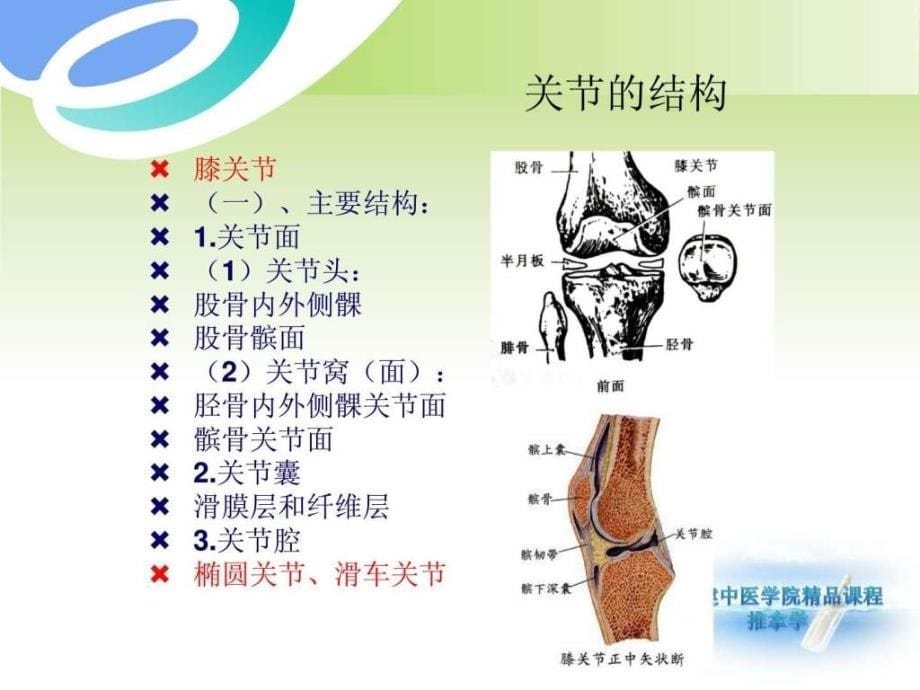 退行性膝关节炎精.ppt_第5页