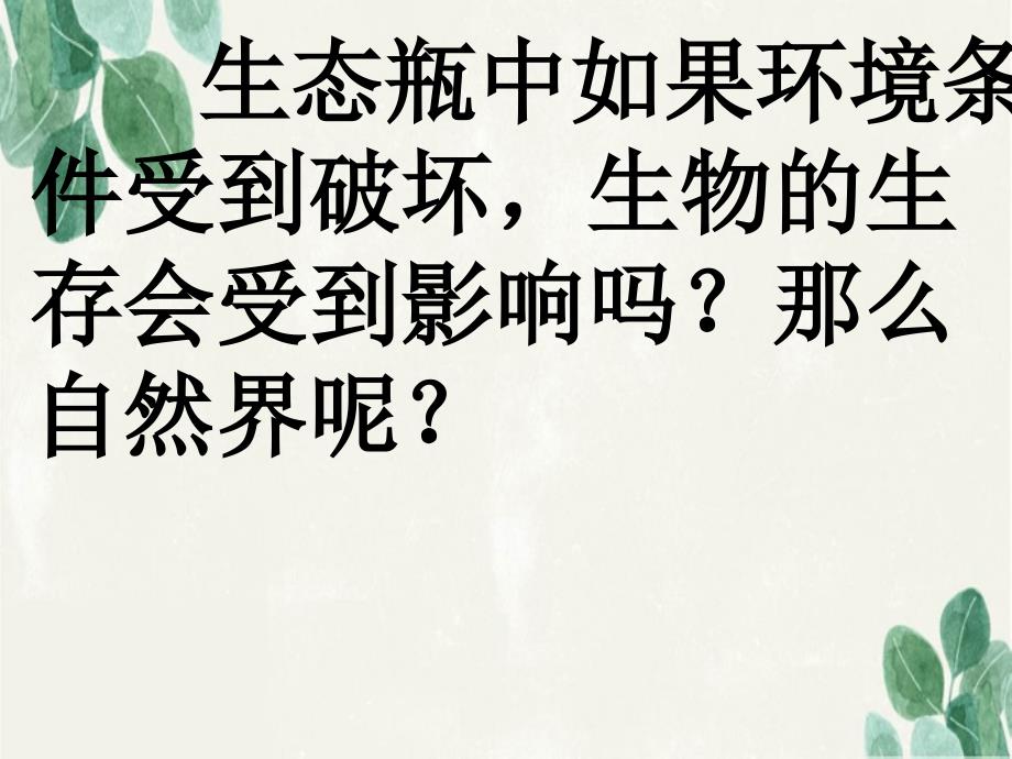 五年级科学上册1.8维护生态平衡课件5教科版教科版小学五年级上册自然科学课件_第2页