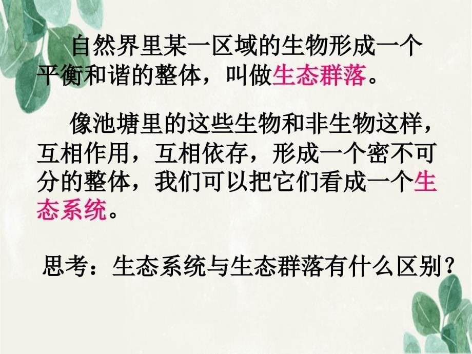 五年级科学上册1.8维护生态平衡课件5教科版教科版小学五年级上册自然科学课件_第5页