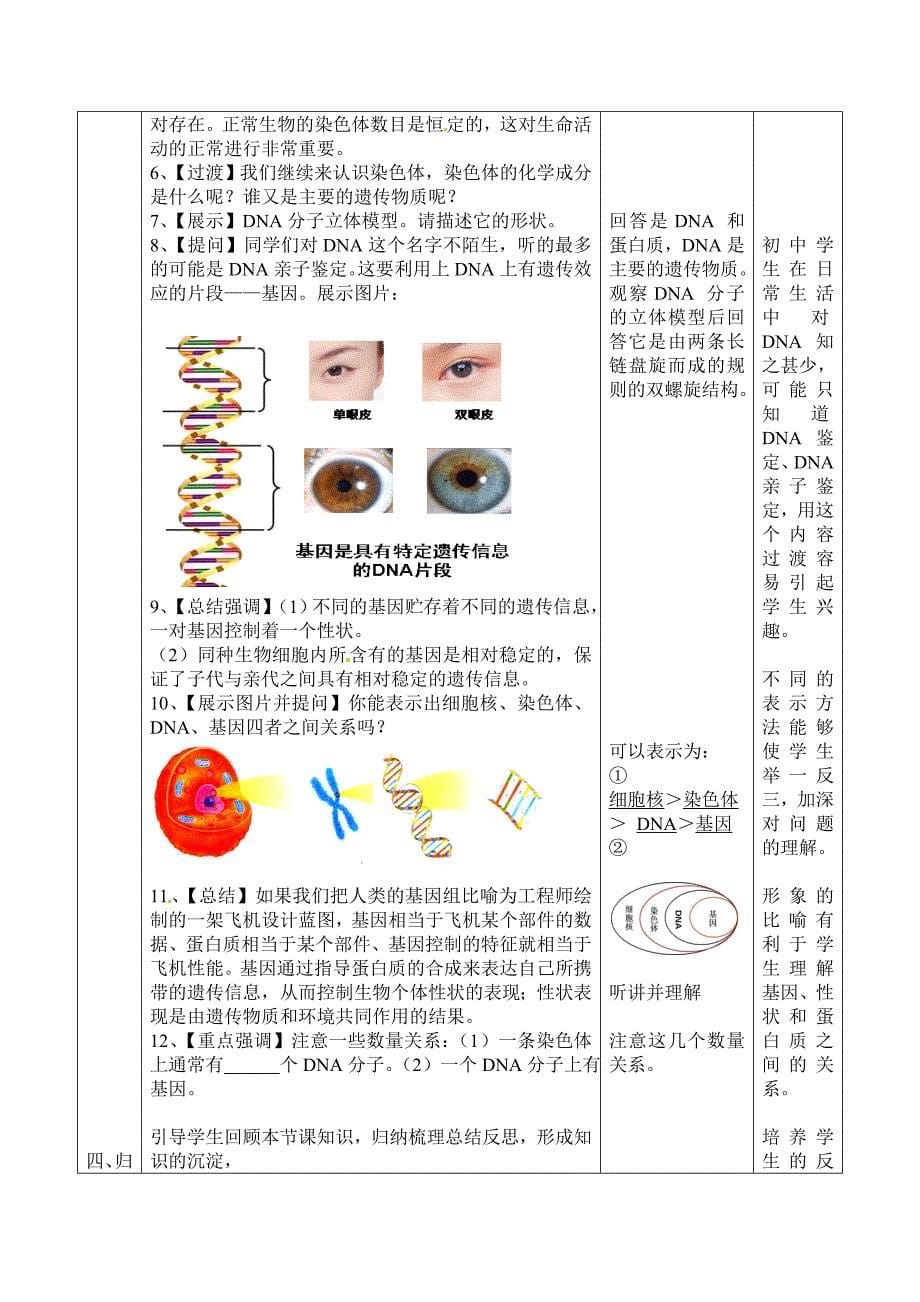 最新【济南版】八年级生物上册教案第4单元第4章第1节：22遗传的物质基础1名师精心制作资料_第5页