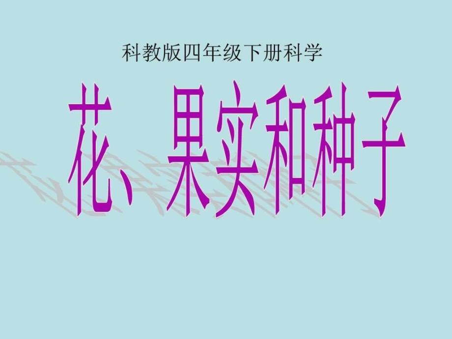 科教版四下科学.花.果实.种子图文.ppt_第1页