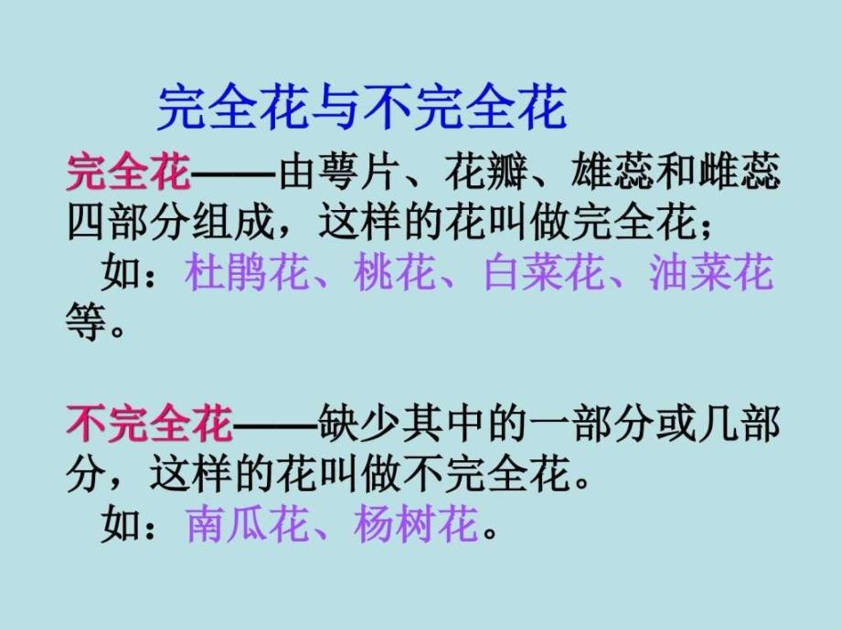 科教版四下科学.花.果实.种子图文.ppt_第2页