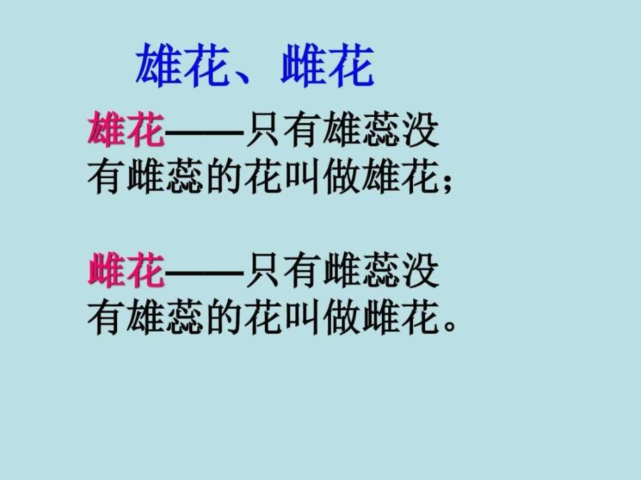 科教版四下科学.花.果实.种子图文.ppt_第3页