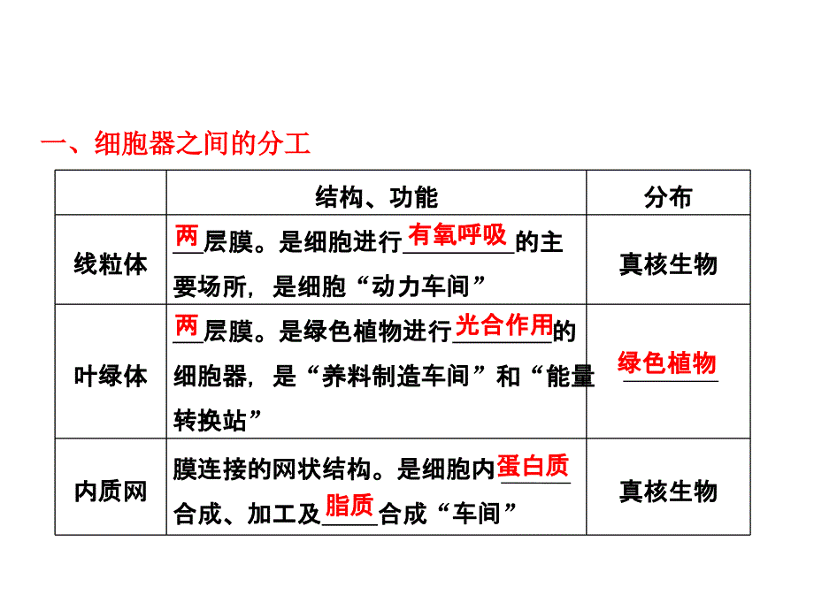 必修一第三章第2节细胞器系统内的分工合作_第3页